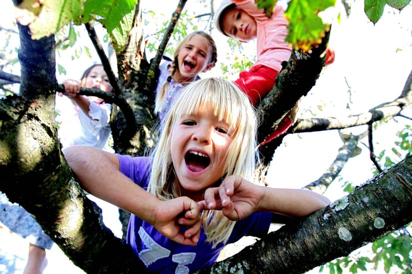 Kinder im Baum