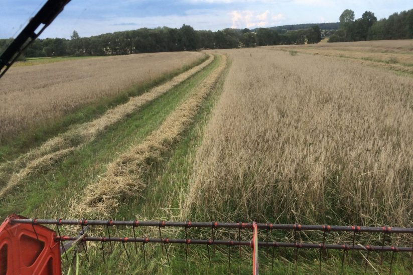 Untersaaten dürfen nicht zur Konkurrenz werden.