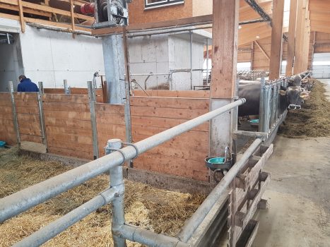 Selbsttränker gegen Trogtränken tauschen.