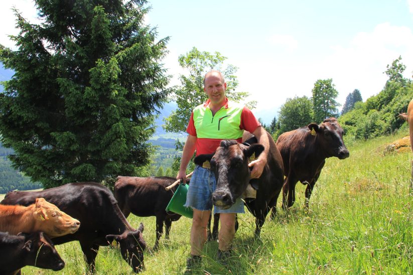 Landwirt mit Kühen