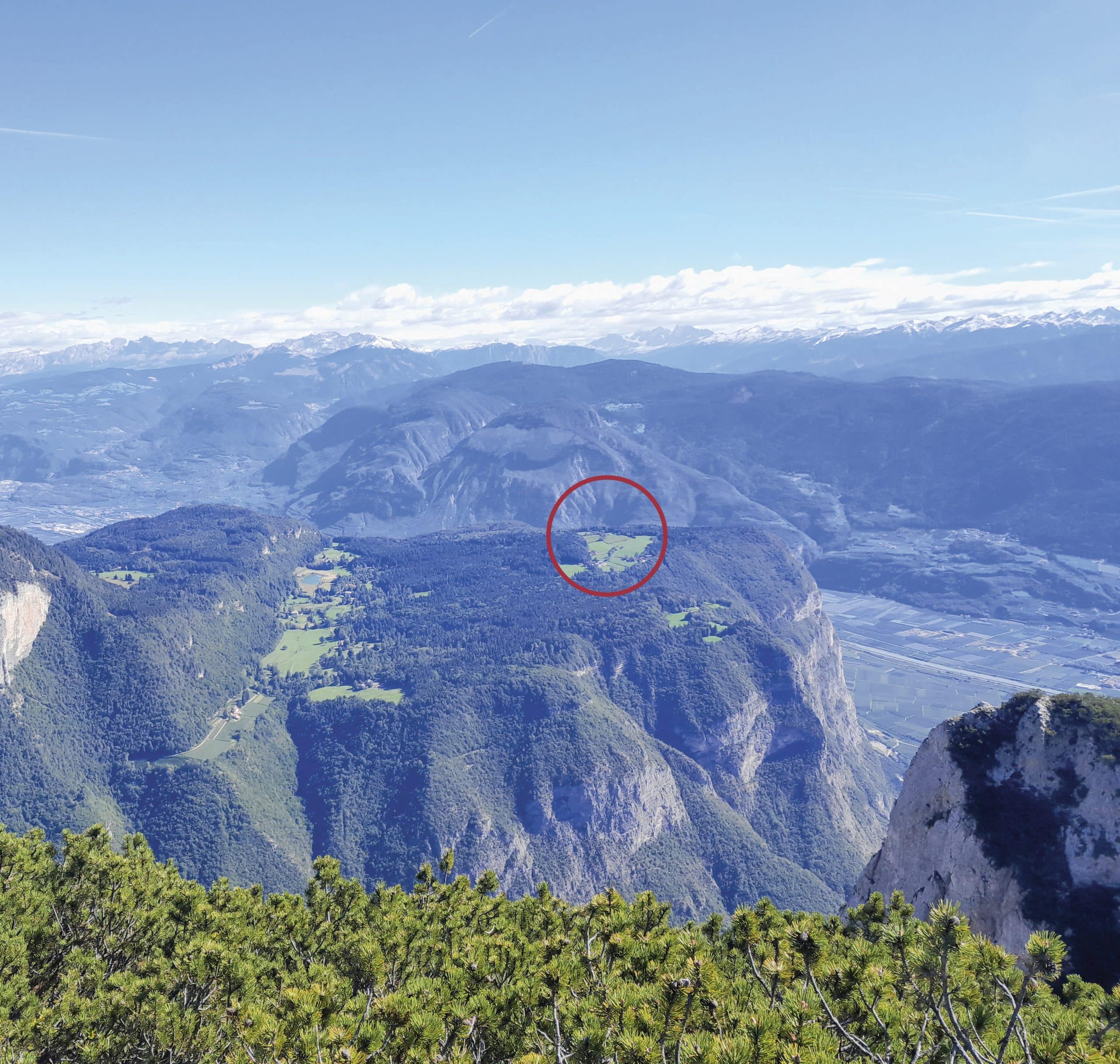 Harald Mayrs Betrieb liegt auf dem Fenner Hochplateau. Dahinter fällt das Gelände steil ab.