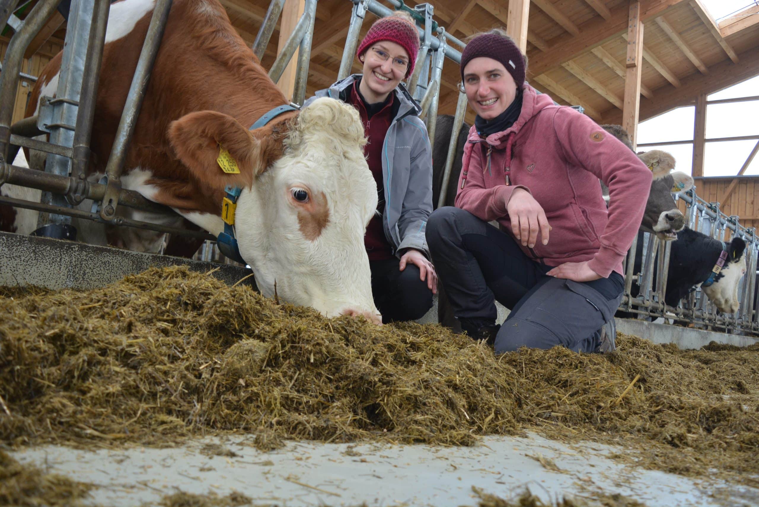 Die Liebe hat sie zur Landwirtschaft geführt: Lisa Rappold (links) hilft in ihrer Freizeit auf dem Betrieb ihres Lebensgefährten mit. Johanna Fink betreibt mit ihrem Mann seit zehn Jahren gemeinsam einen Milchviehbetrieb im Westallgäu.