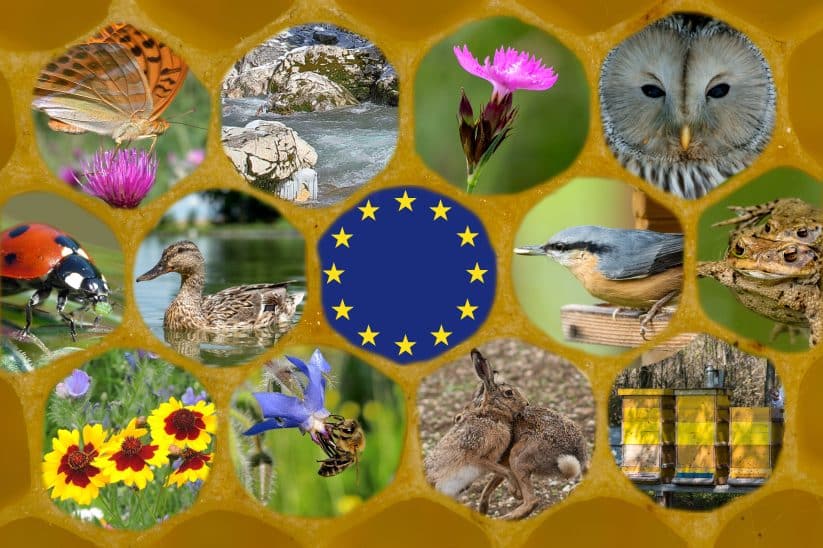 Bio-Betriebe und GLÖZ