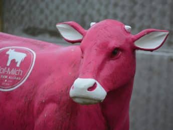 Die pinke Kuh war das Markenzeichen der Allgäuer Hof-Milch. Nun hat das Unternehmen die Produktion gestoppt.