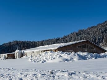 Wenn im Stall alles gut vorbereitet ist, können Sie auch bei großen Schneemassen und kalten Temperaturen entspannt bleiben.