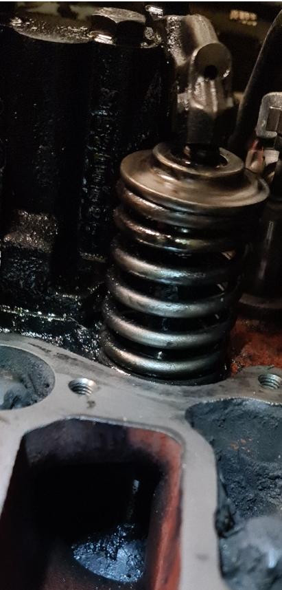 Einlassventil mit Ablagerungen Agrotron MK2 1500